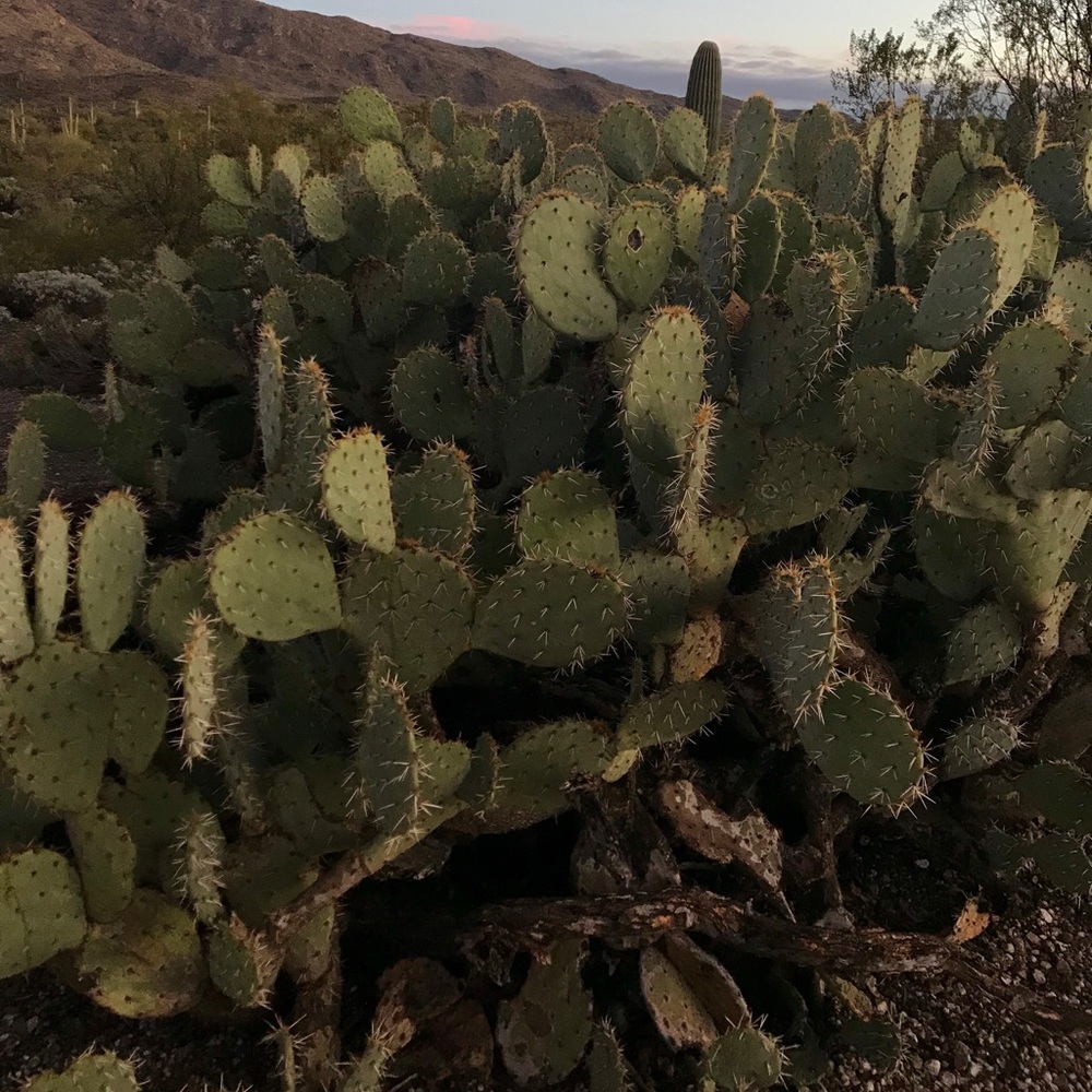 Meet your Posher, Mimi